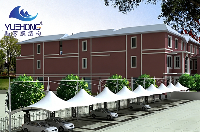 17694966422701598812.jpg 80.jpg